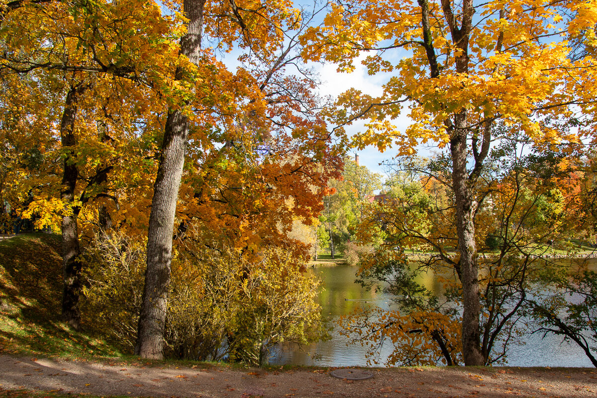 *** - Геннадий Порохов