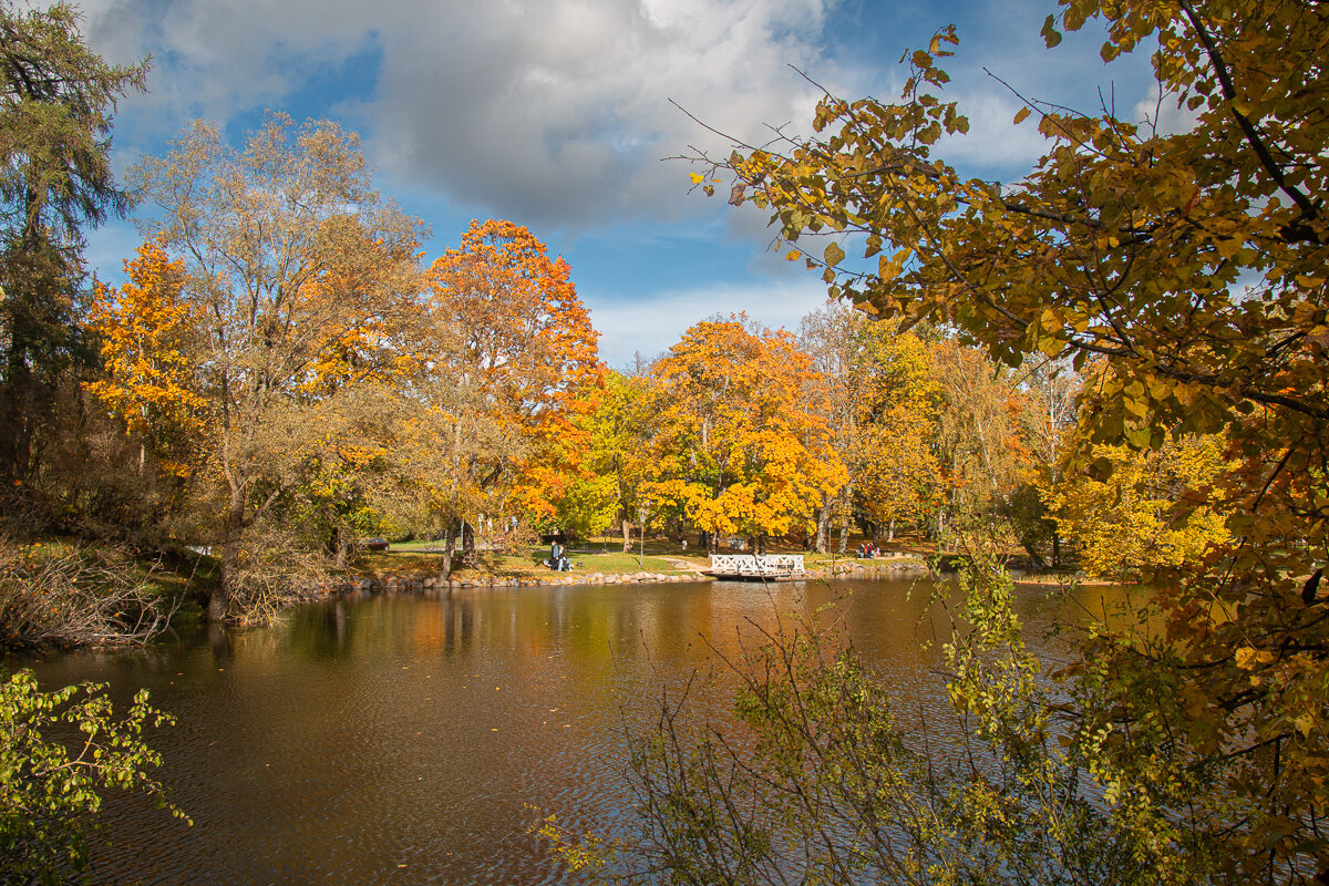 *** - Геннадий Порохов