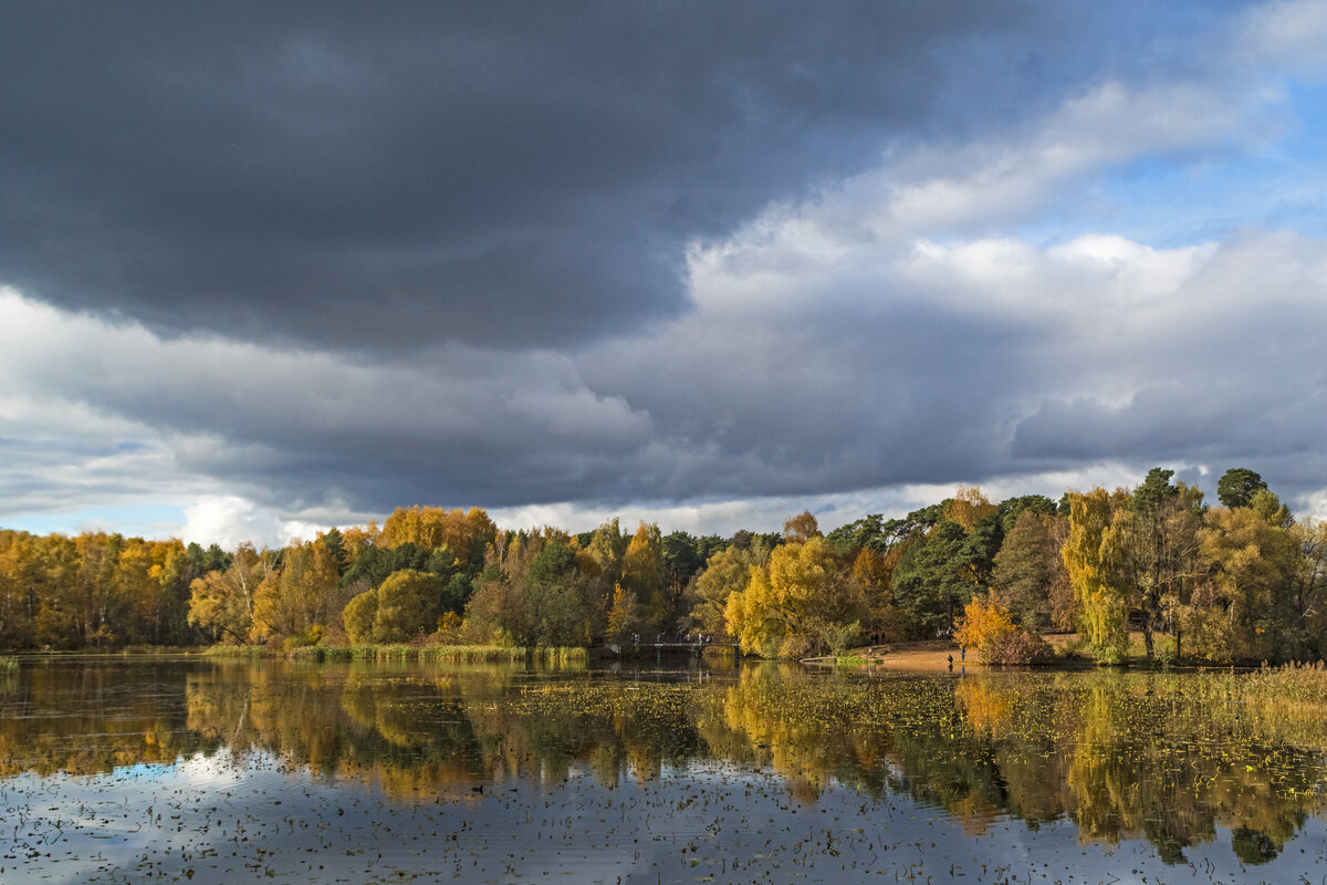 Октябрь. Серебряный Бор. Озеро Бездонное. - Сергей Фомичев