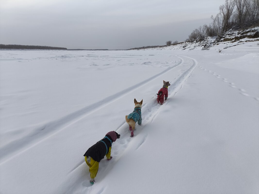 На протоке - Anna Ivanova На протоке - Anna Ivanova