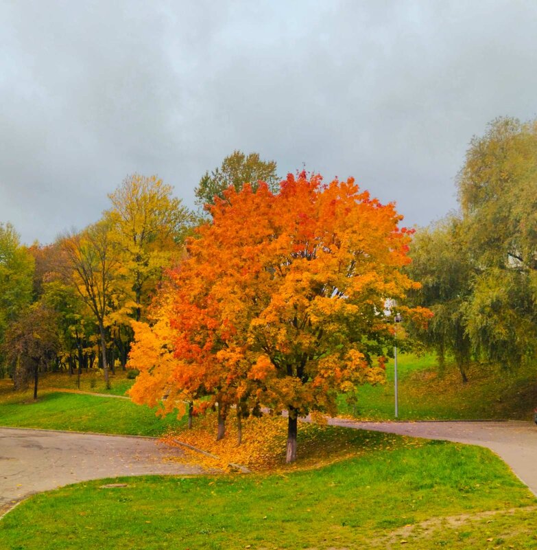Краски осени - Галина Бобкина