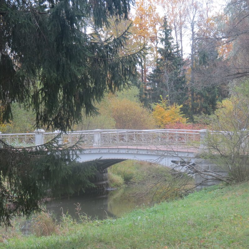 Царскосельские мостики - Людмила 