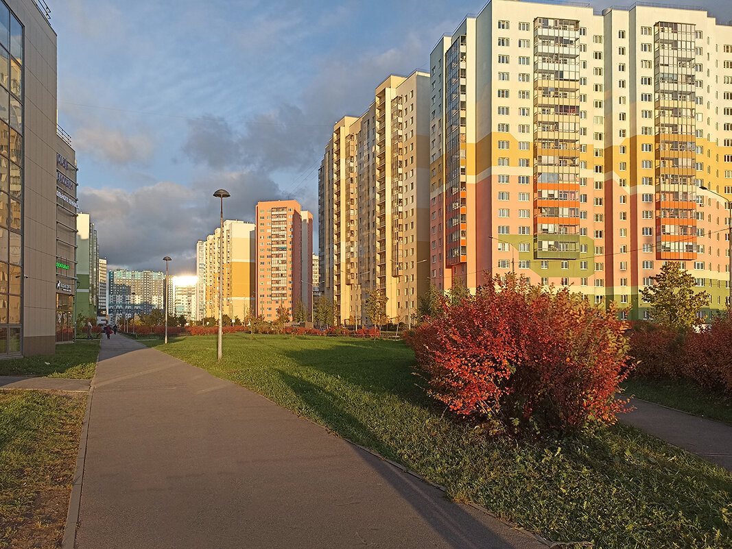 Осень в нашем ЖК, - Лилия *