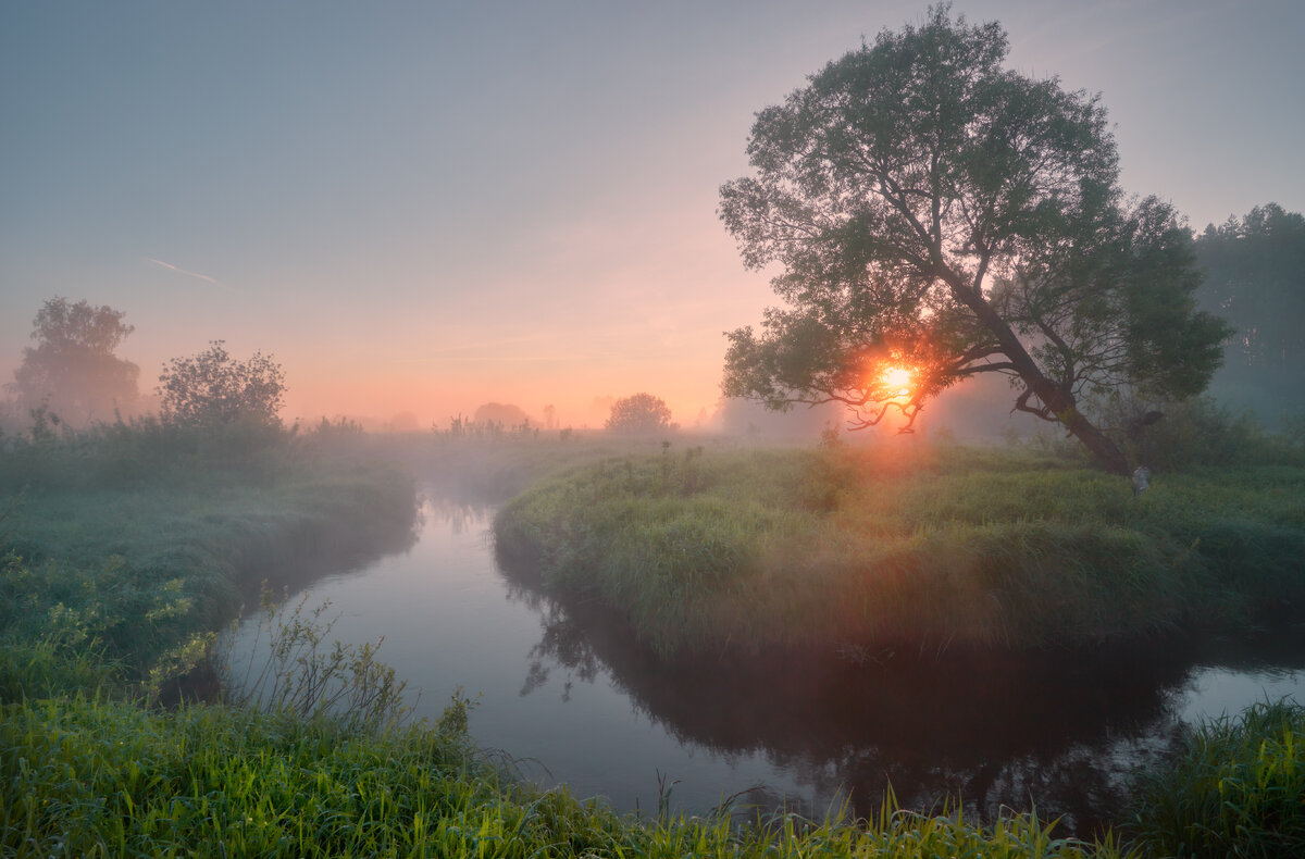 葉隱  Хагакурэ «Сокрытое в листве» - Roman Lunin