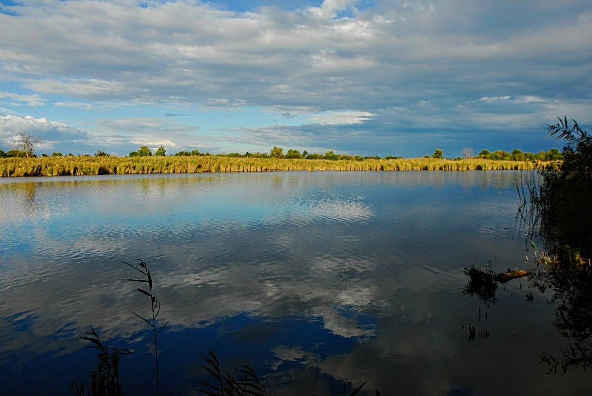 Октябрь.. - Владимир 