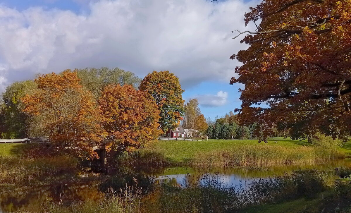 Оттенки октября .. - Татьян@ Ивановна