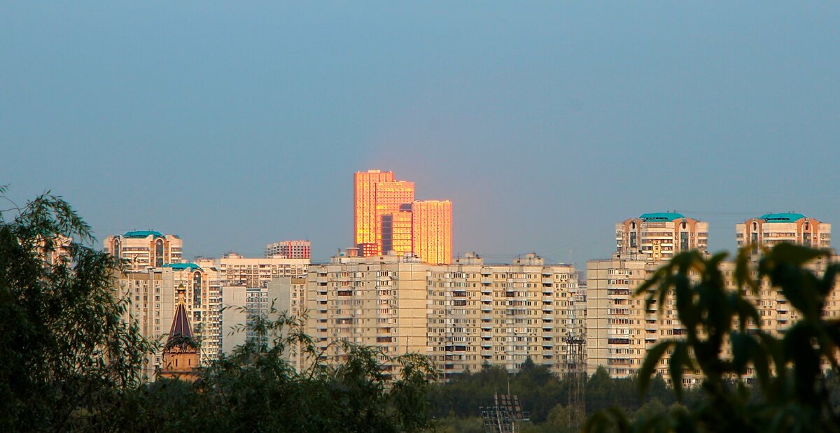 Солнышко раскрасило - Тамара Вебер