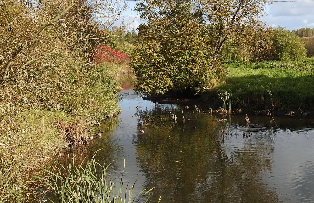 осень - ИННА ПОРОХОВА