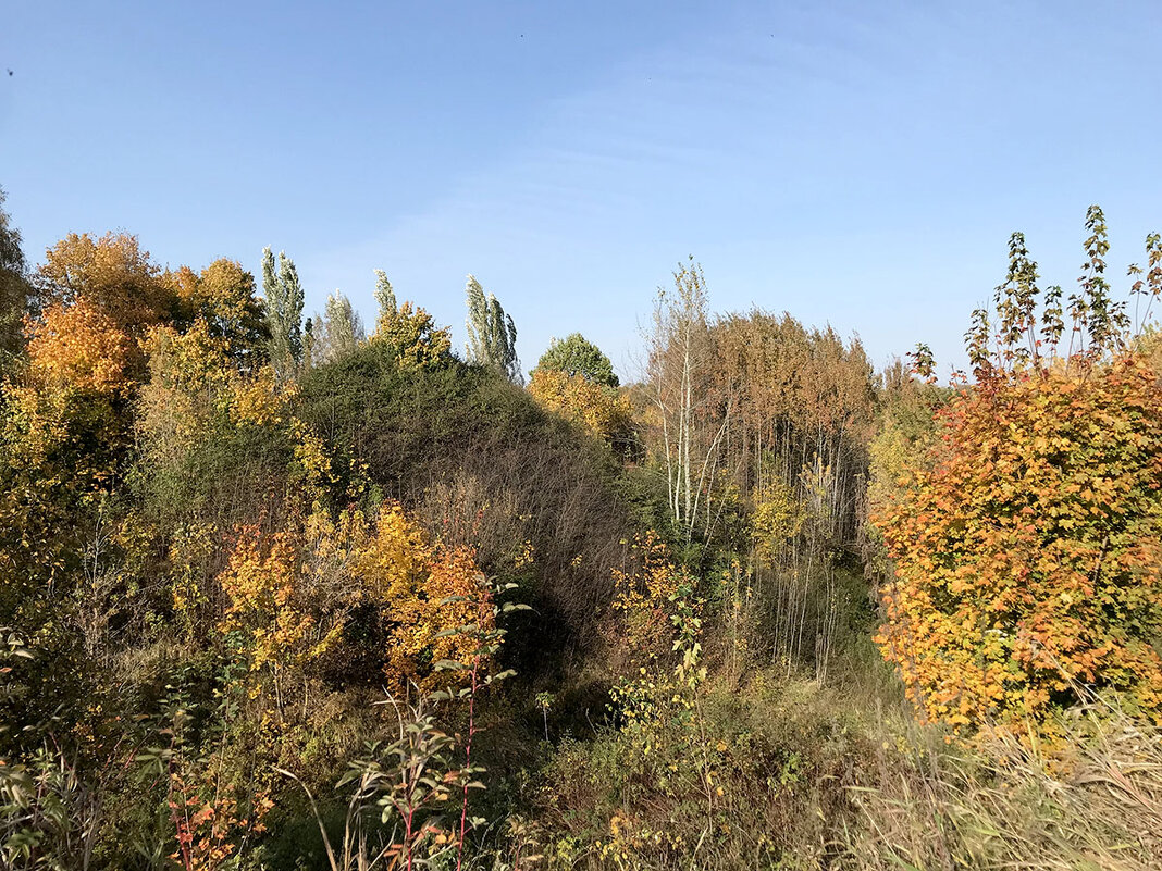 Осень, осень - Лариса Корж