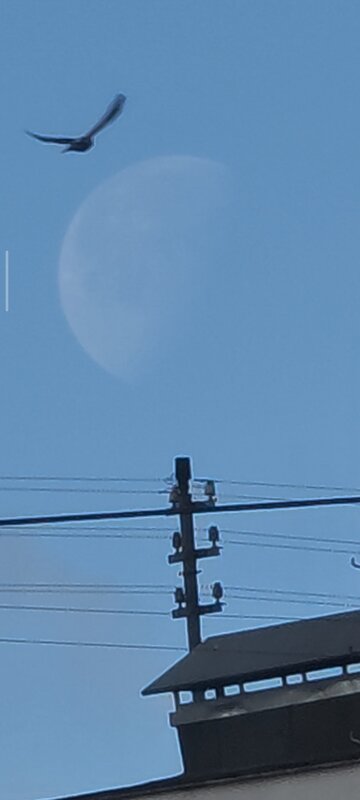 --- - Наталия 