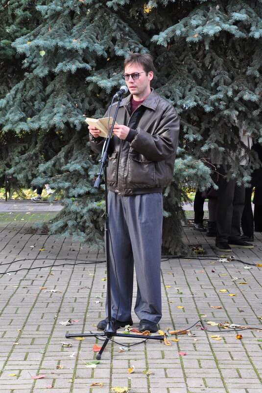 "Воронеж!.. Родина. Любовь..." - Татьяна Машошина