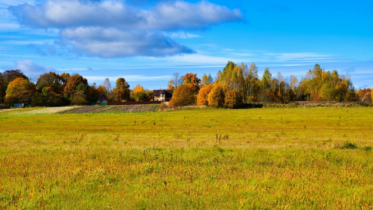 Картинка золотой осени. - Милешкин Владимир Алексеевич 