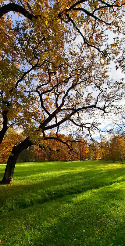 Осеннее начало - Хватова Марина 