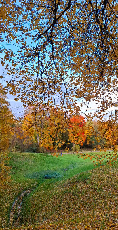Осыпает золотом - Хватова Марина 