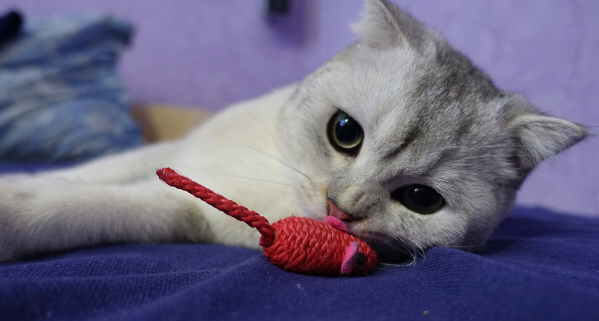 Добычу принёс. - Марина Леонидовна