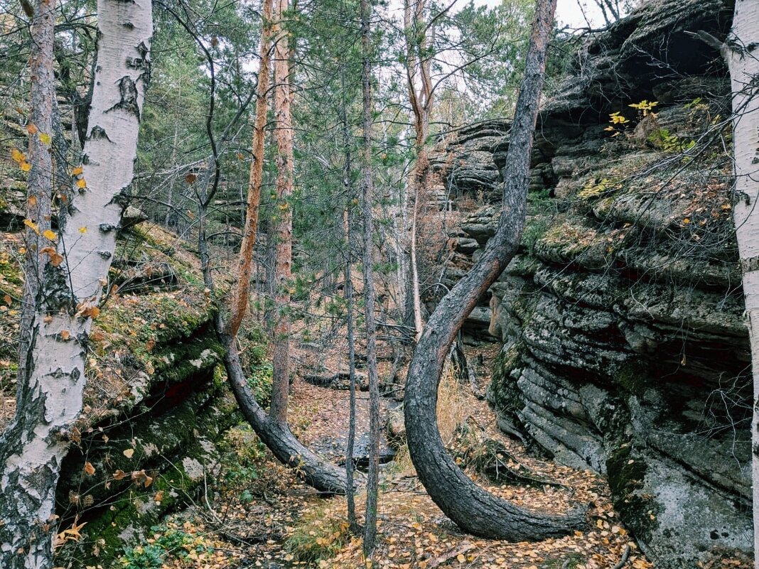 В горах листопад - Георгиевич В горах листопад - Георгиевич