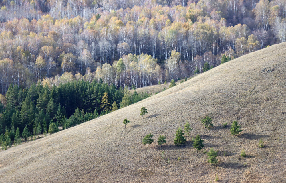 На склоне - Галина Ильясова