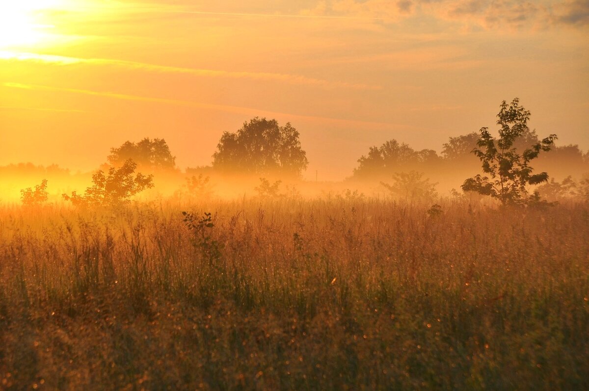 Туман - Владимир Зыбин