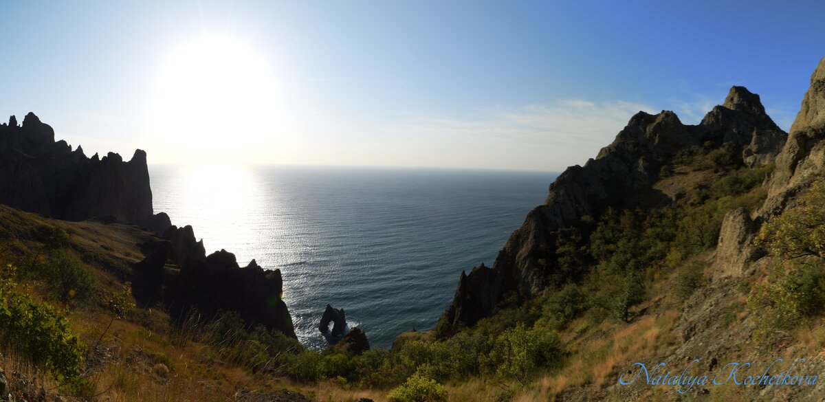 Природа Крыма - Amazing Cosmea