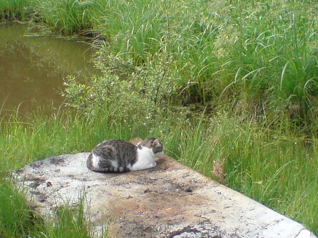 Прощание с летом - Виктор Никитенко