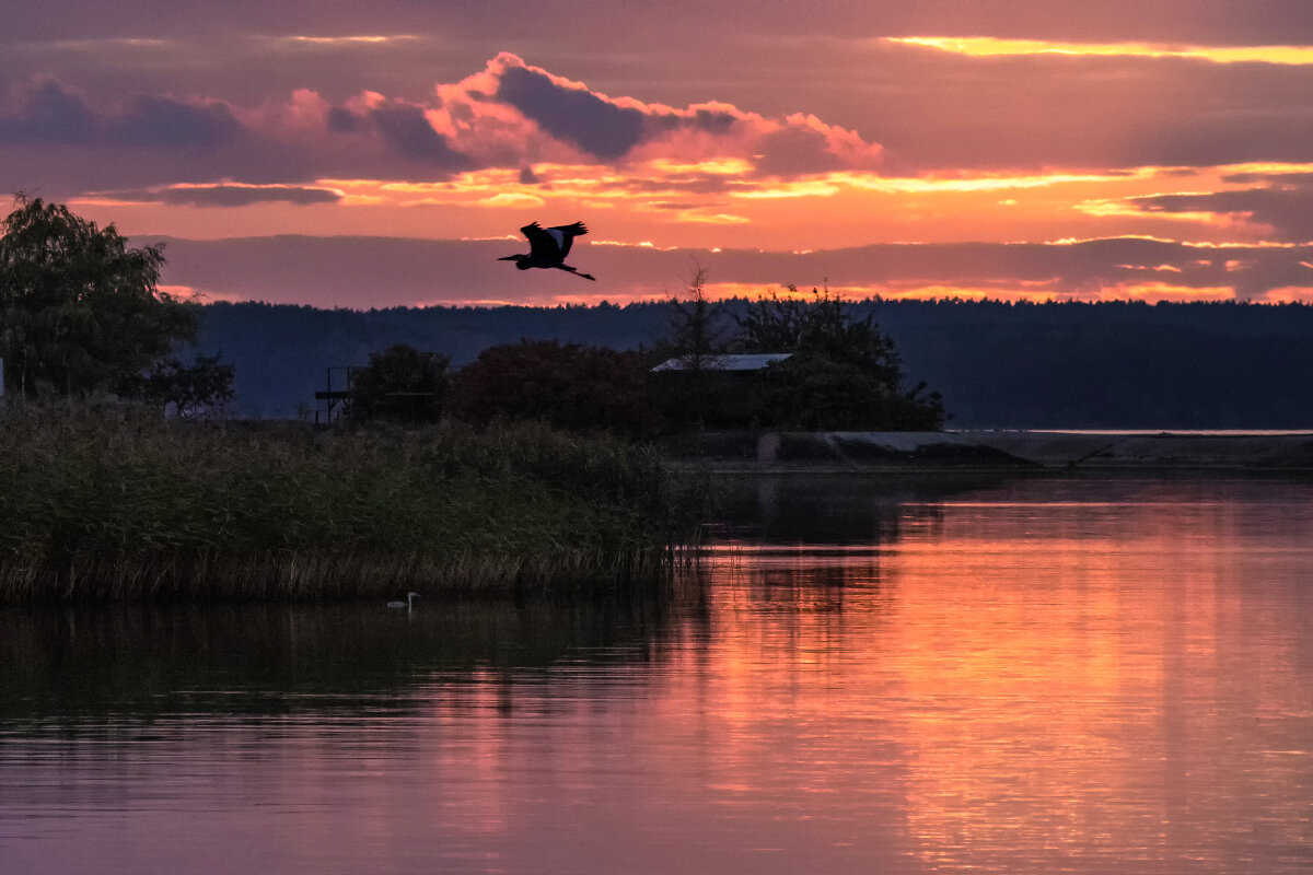 Домой - Владимир 