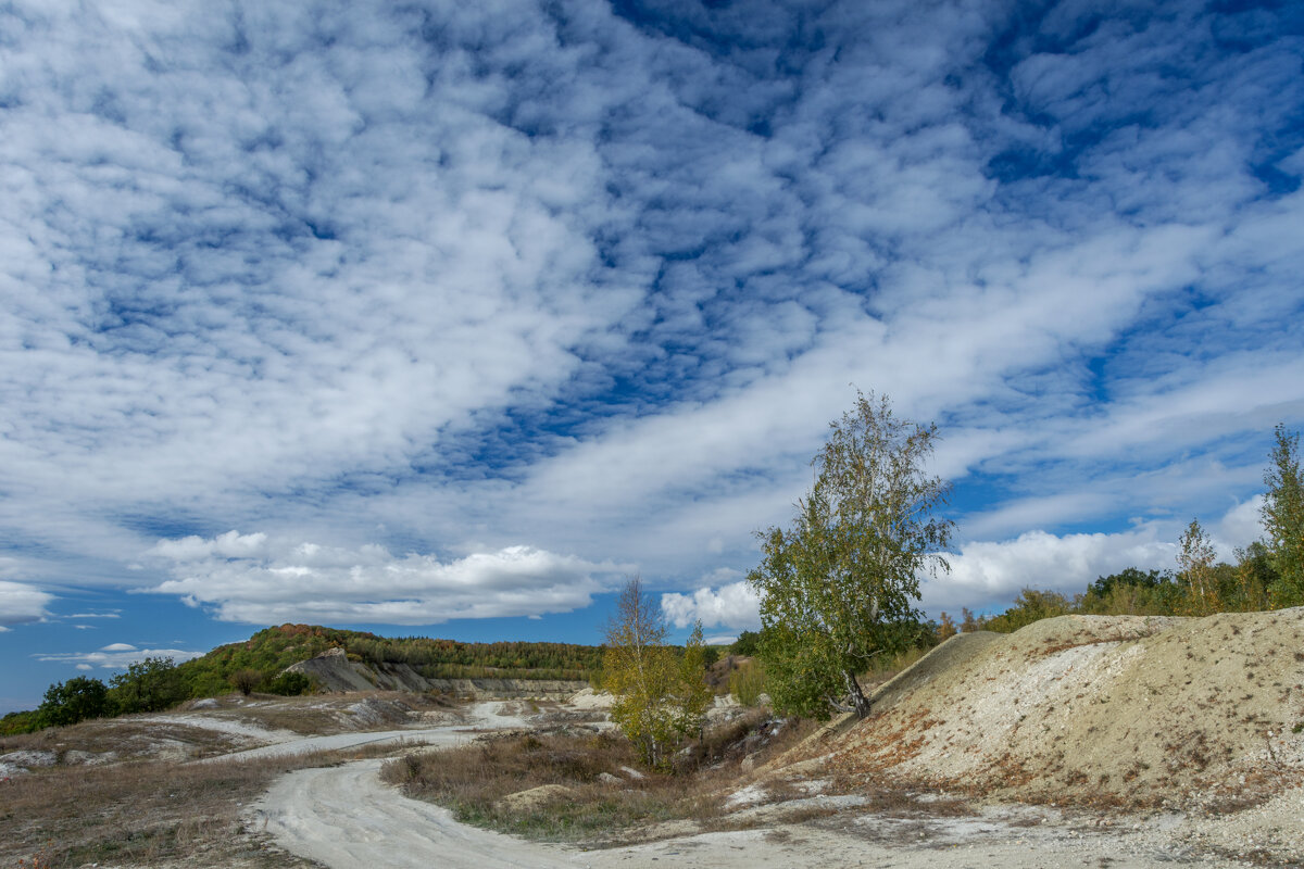 Осеннее небо - Наталья Димова