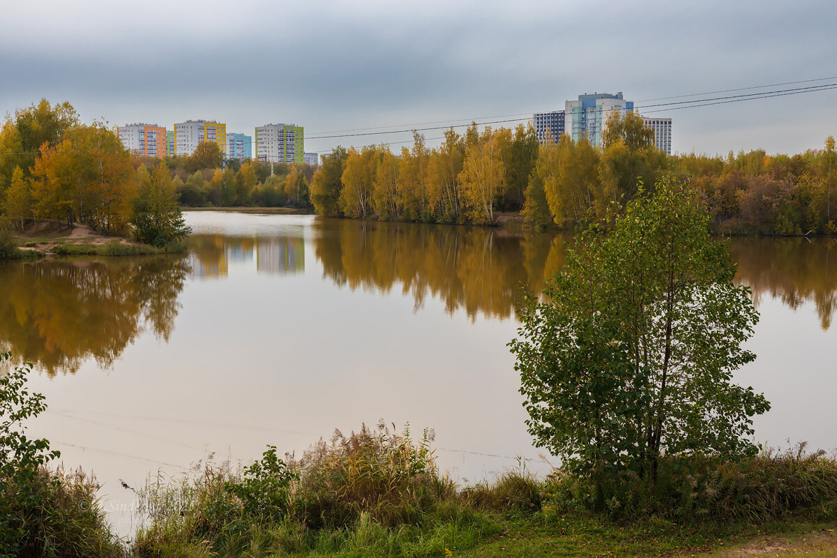 Речка в парке - Александр Синдерёв