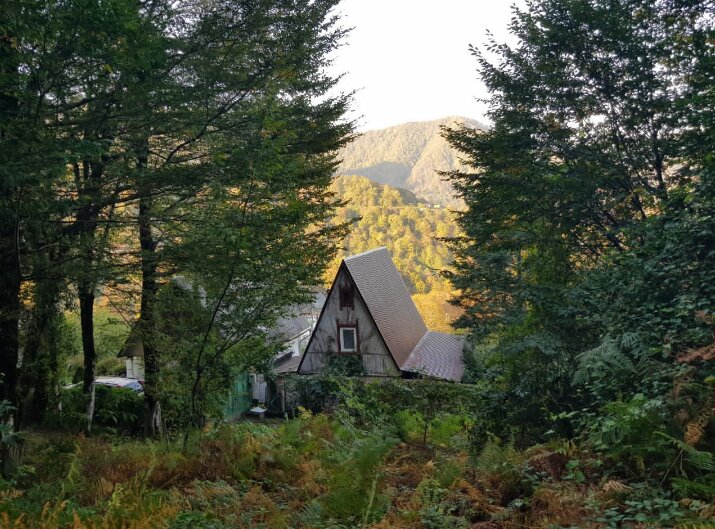 Пластунка - Tata Wolf