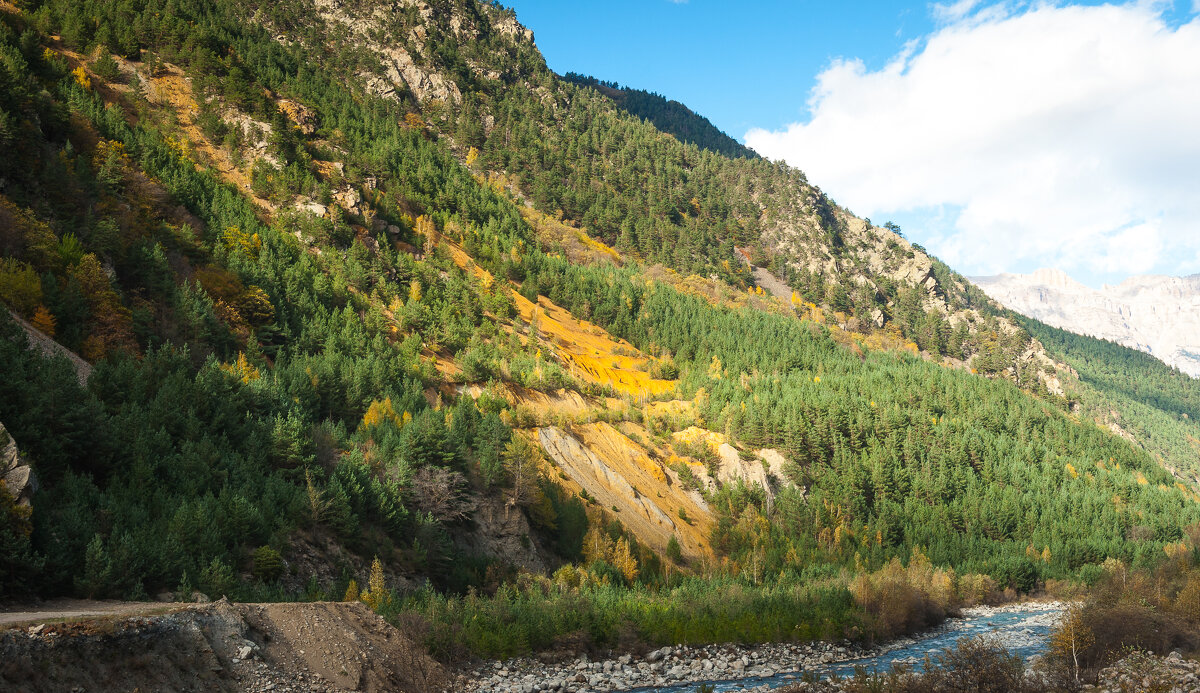 Осень - Батик Табуев
