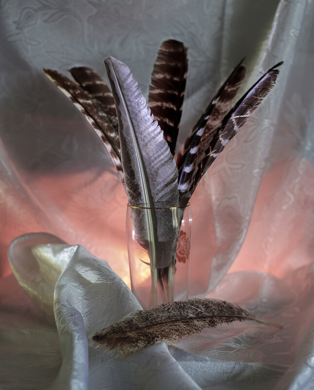 кто перья потерял? - Владимир Зеленцов