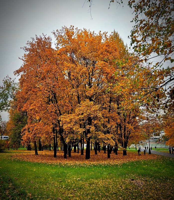 В ожидании - Тамара Вебер