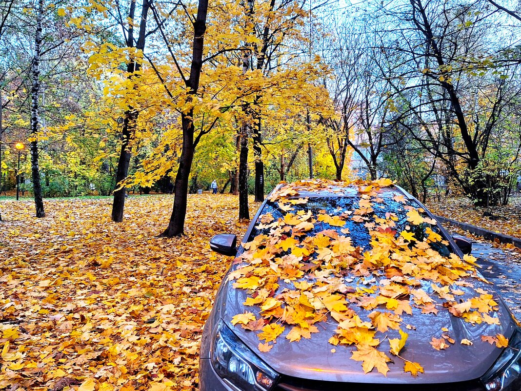 Осень - Наталья 