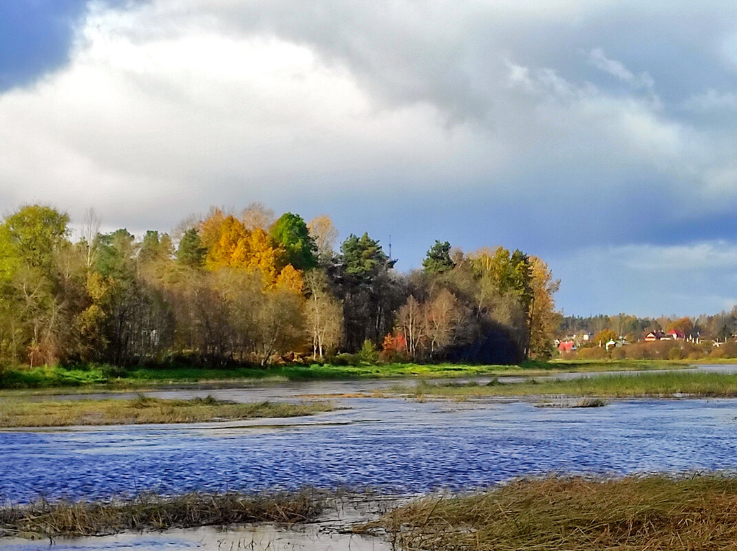 *** - gawrilа - dan