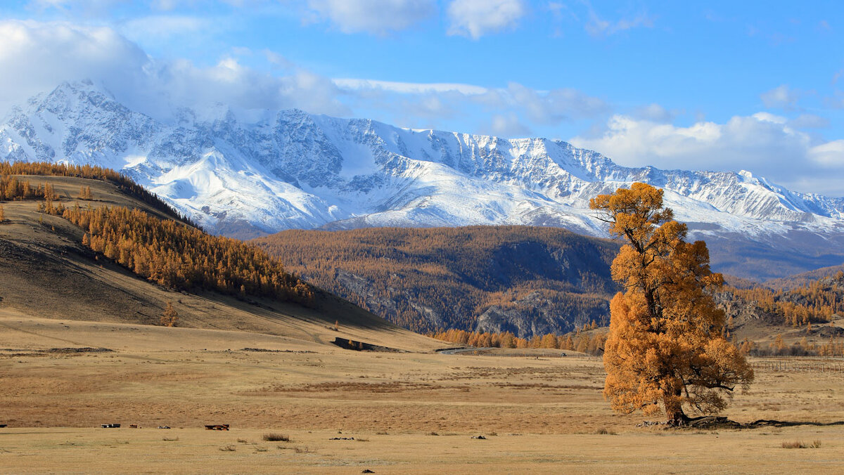 Когда приходит осень... - владимир 