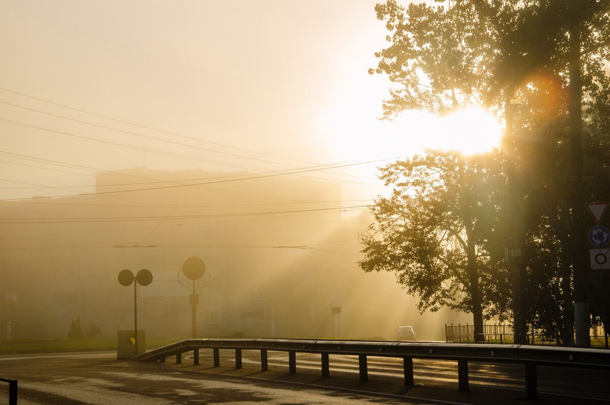 Утренний туман - Галина Ложечникова