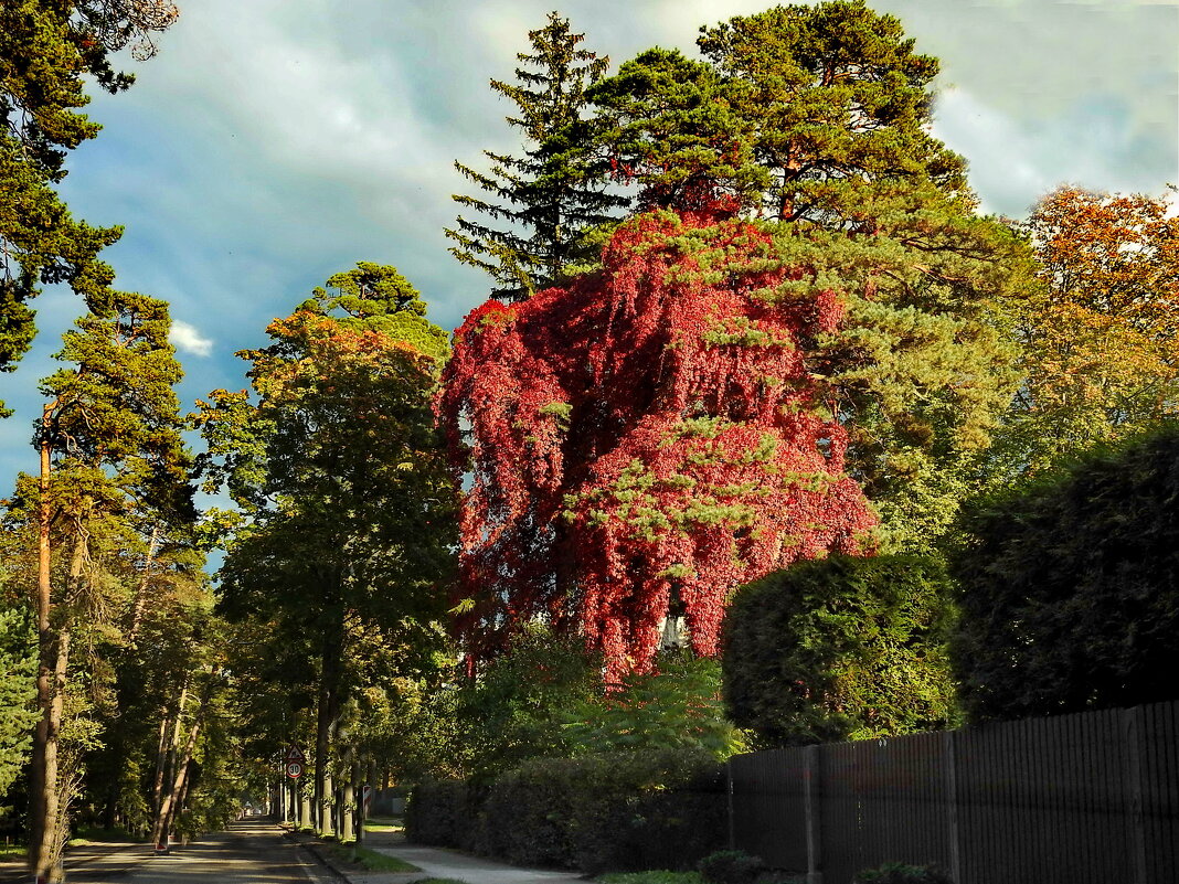 осень - ИННА ПОРОХОВА