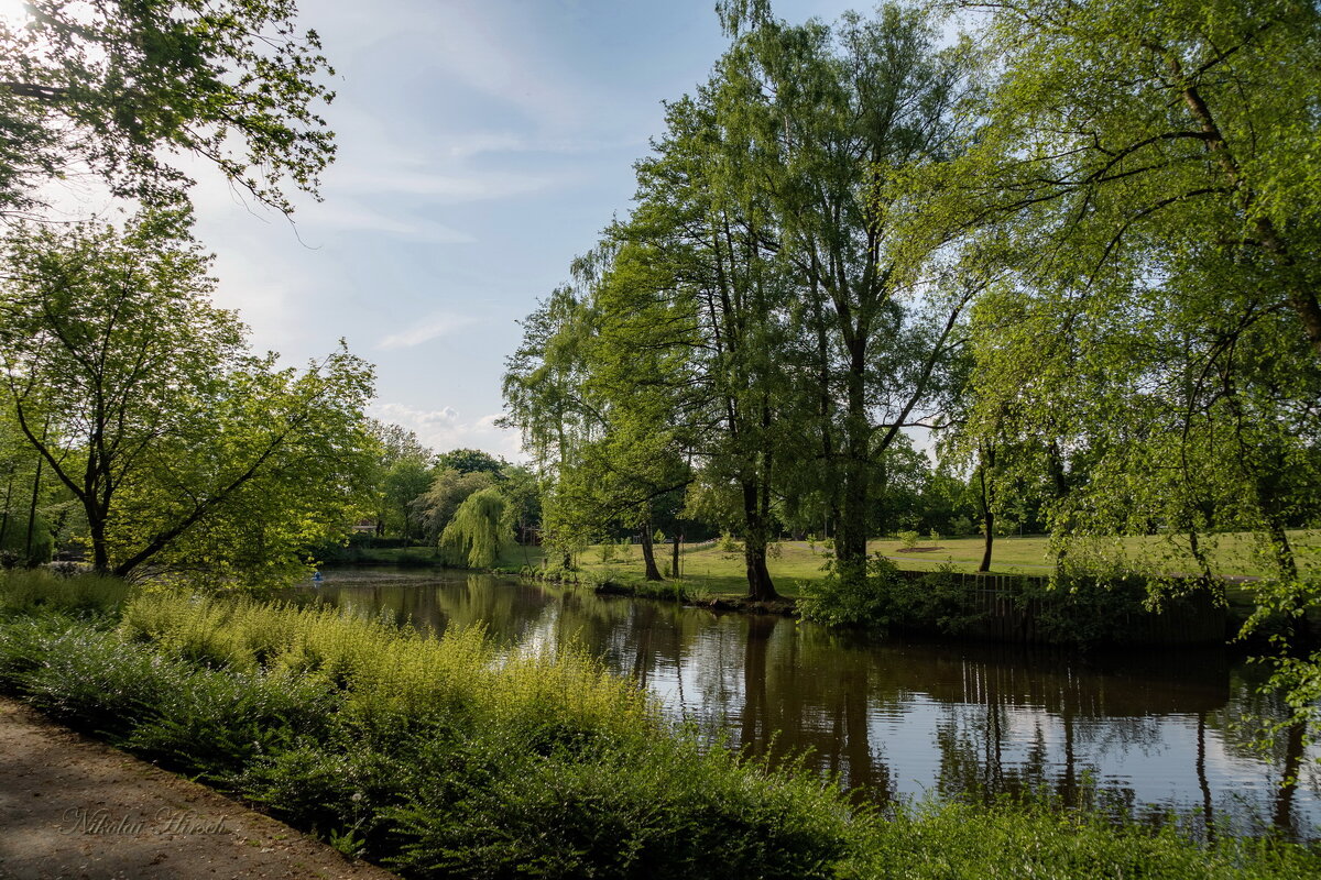 В весеннем парке... - Николай Гирш
