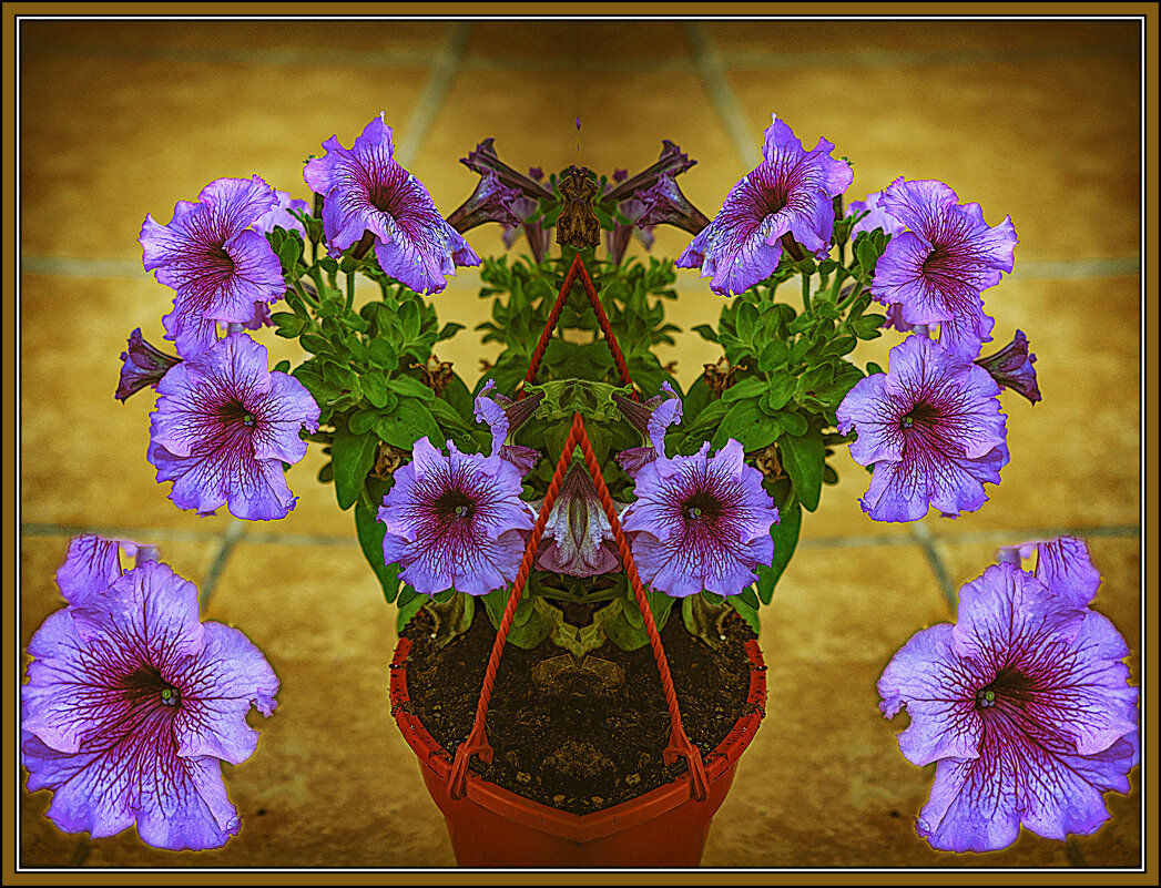 Фотозарисовка - Владимир Кроливец