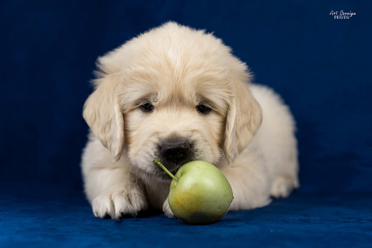 Юная модель - ARTEseniya Кристина Вальтер