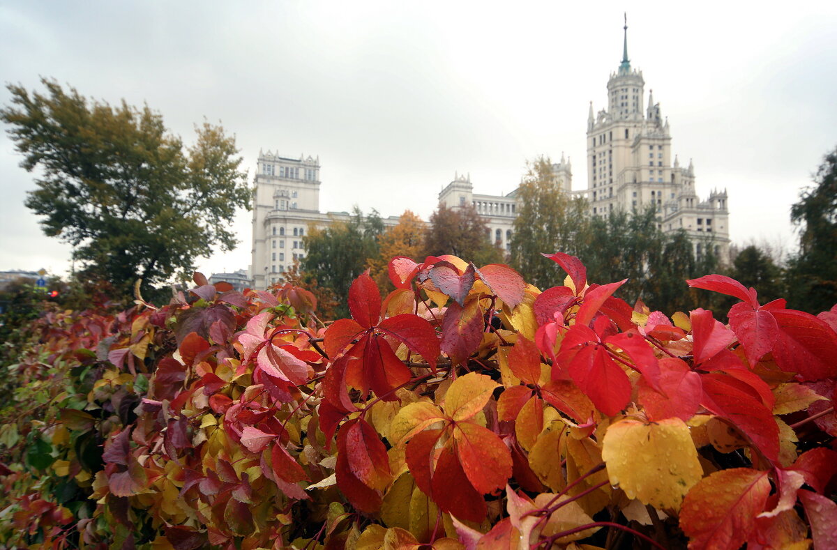 Яузские Ворота 14 октября - Михаил Бибичков