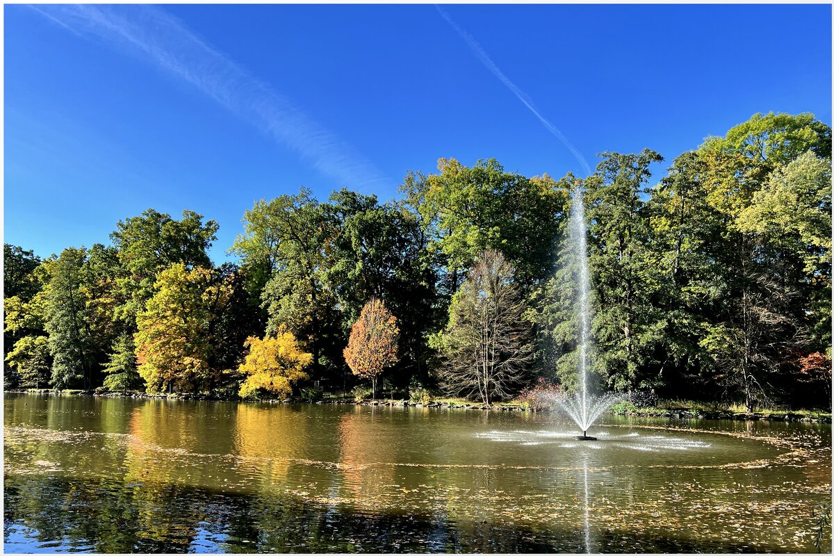 Что может быть прекраснее фонтана, его звучанья в шуме городском? - "The Natural World" Александер