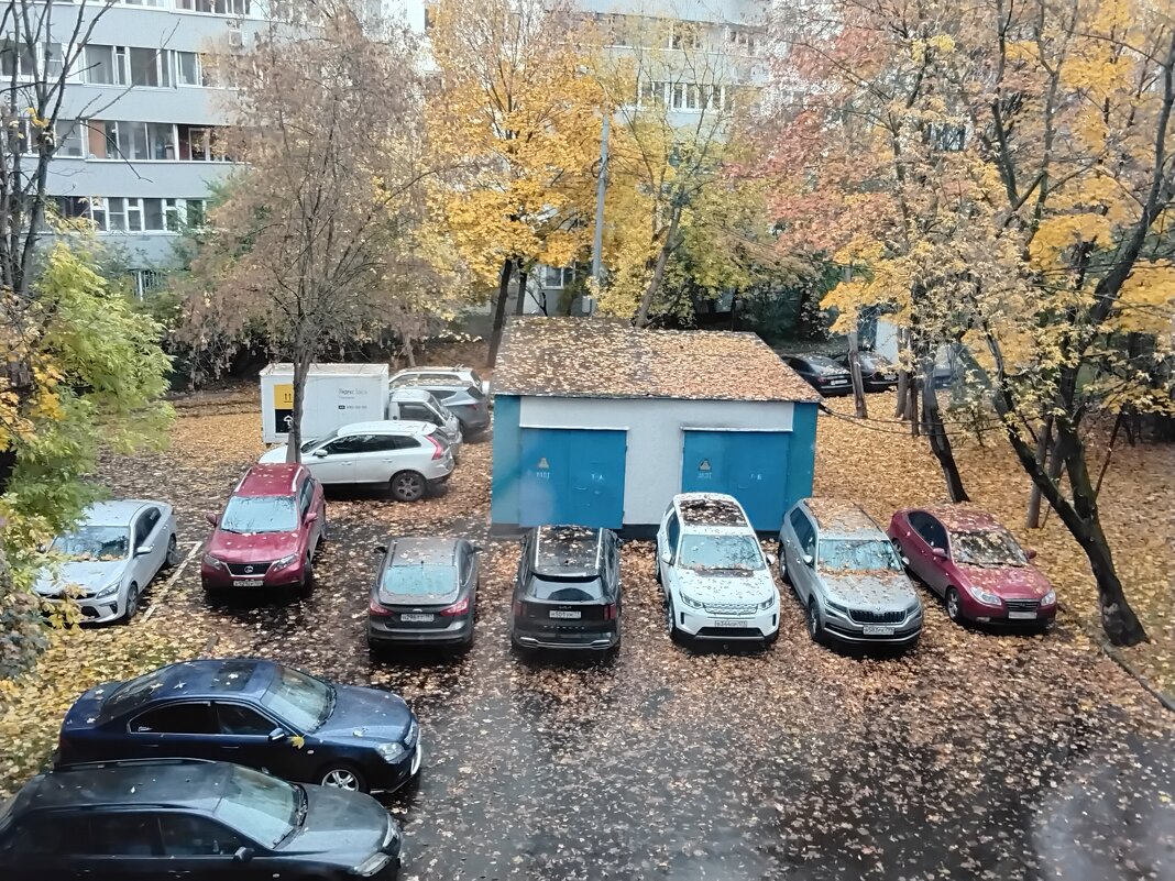 Осеннее утро - Дмитрий Никитин