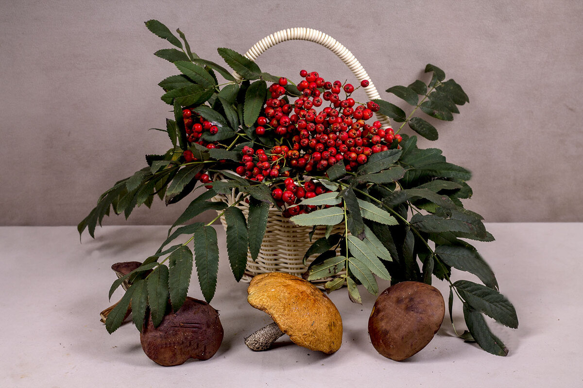 Дары леса - Людмила Павловна Крышковец