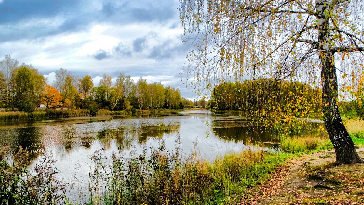 Осенний пейзаж. - Милешкин Владимир Алексеевич Осенний пейзаж. - Милешкин Владимир Алексеевич