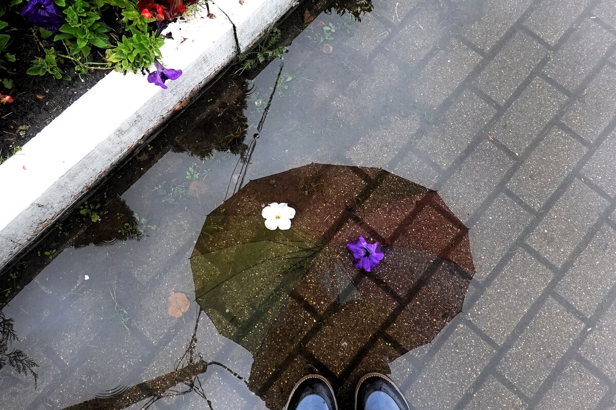 Луж много, только выбирай. - Татьяна Помогалова