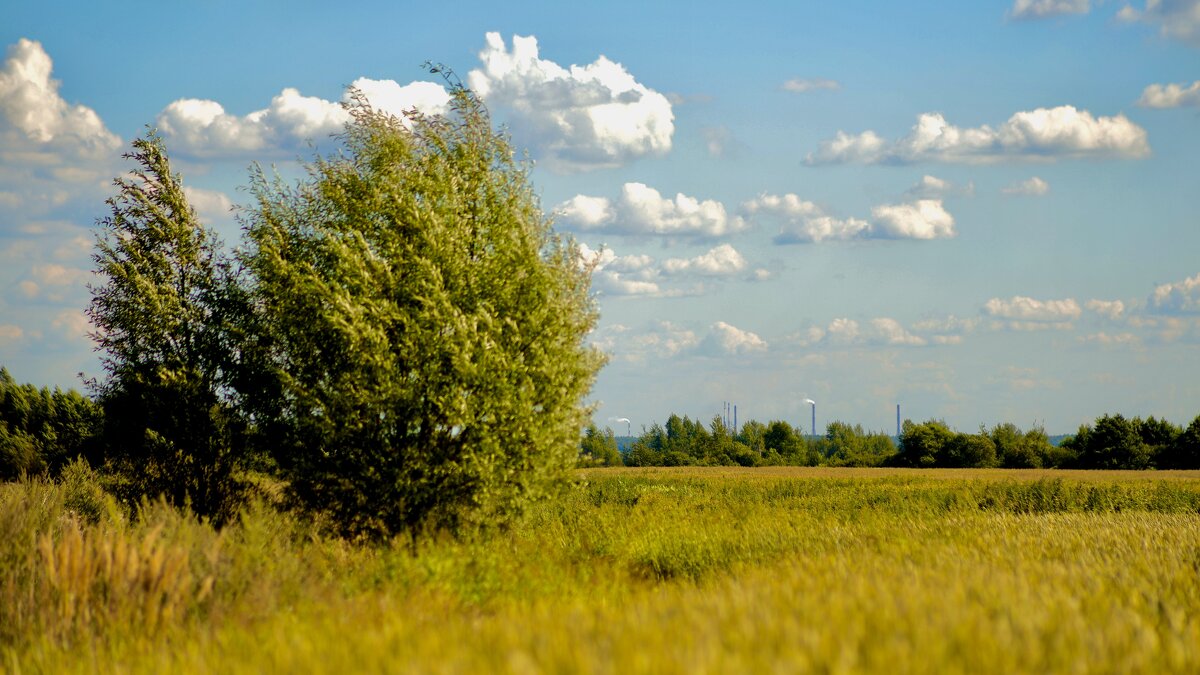 Как же хорошо - летом! - Натали Королева Как же хорошо - летом! - Натали Королева