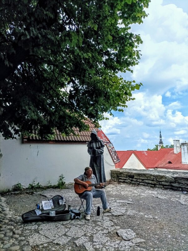 В Саду датского короля - Veera V