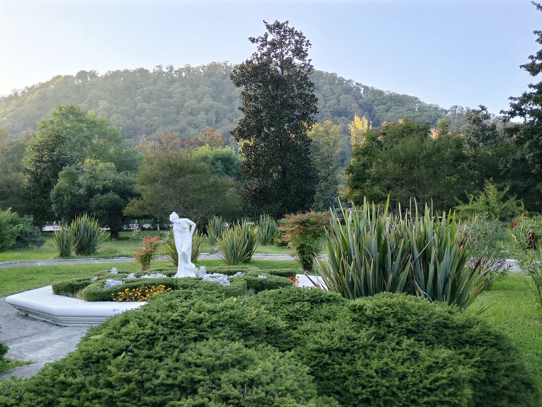 Сквер - Tata Wolf