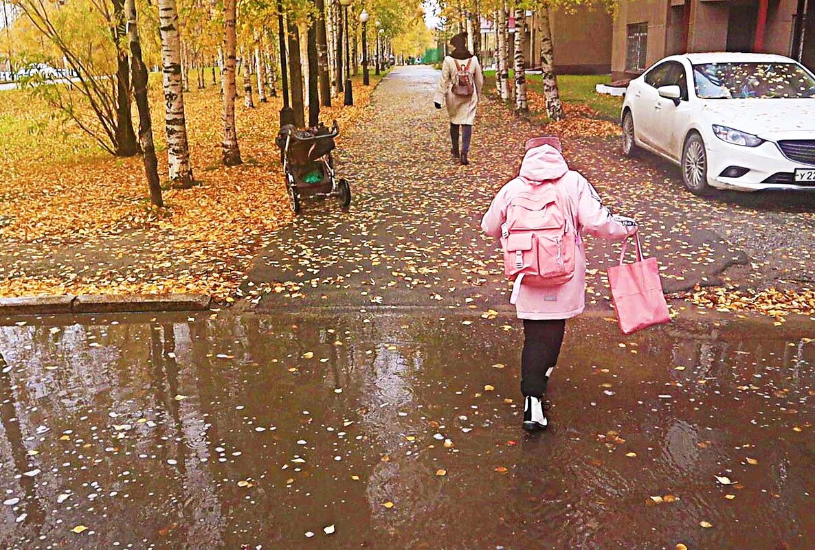 Октябрь...По лужам в школу! - Владимир 