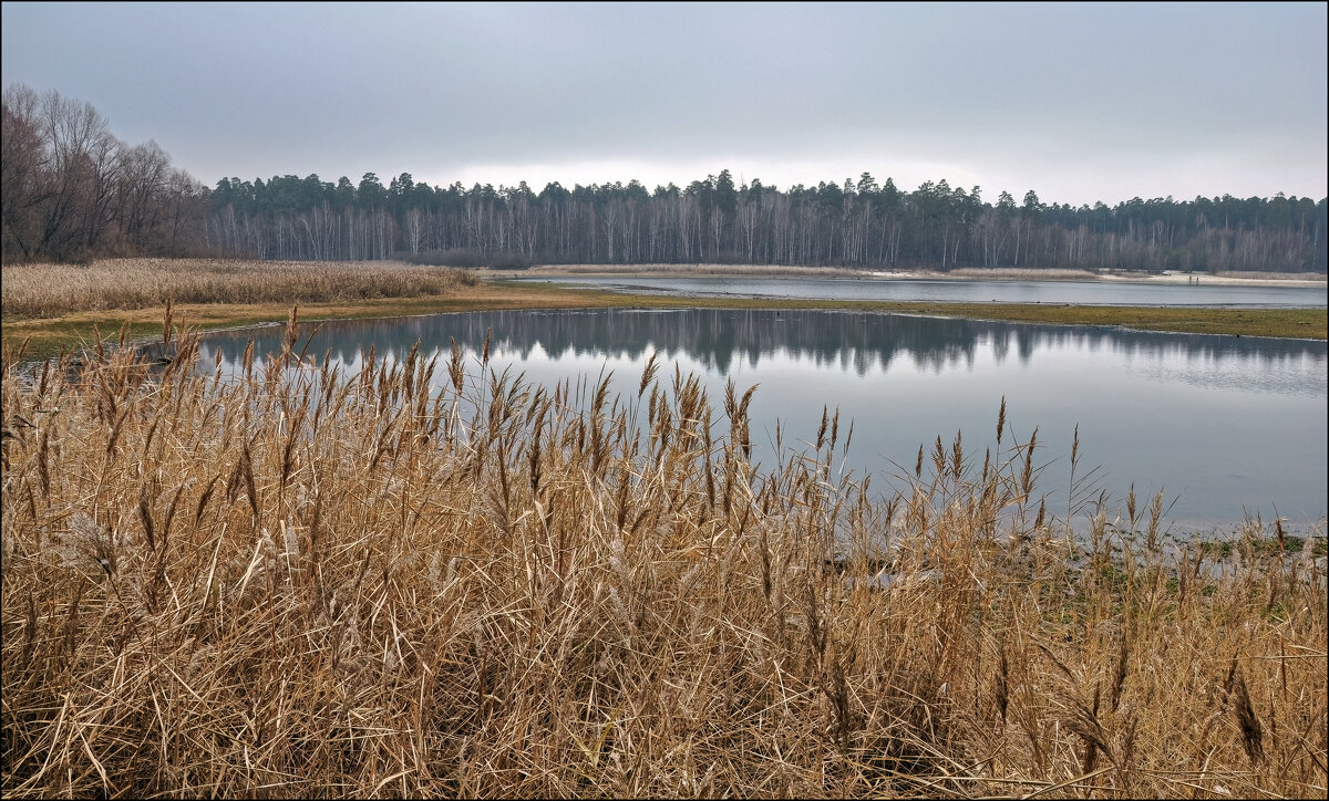 Осень - **** vedin